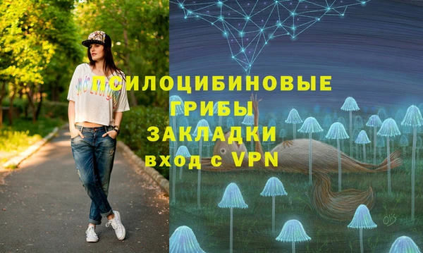 мяу мяу кристалл Гусь-Хрустальный