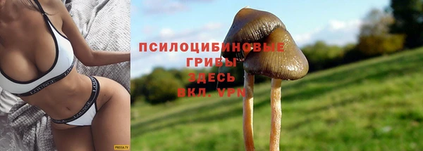 мяу мяу кристалл Гусь-Хрустальный