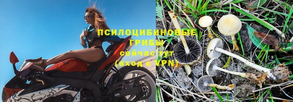 бутират Гусев