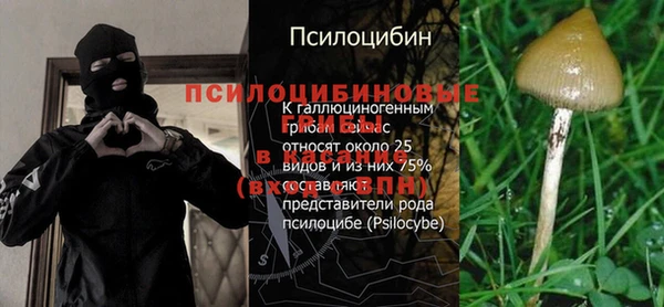 мяу мяу кристалл Гусь-Хрустальный