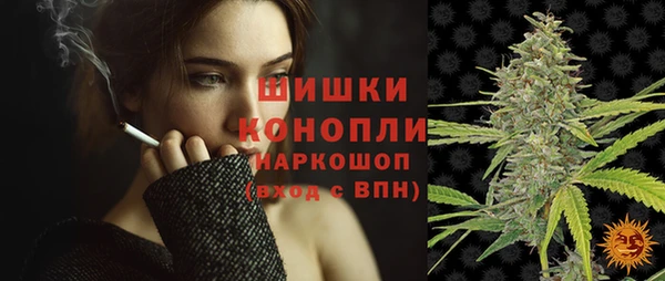 мяу мяу кристалл Гусь-Хрустальный